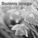 画像装飾04