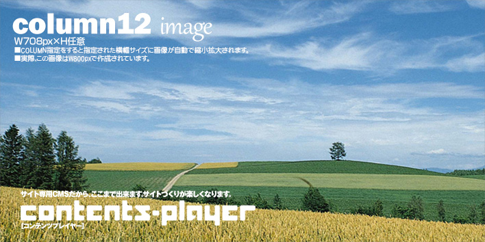 コラム12