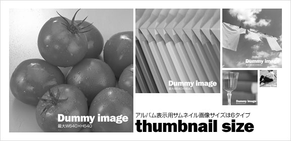 アルバム用サムネイル画像は5サイズから選べます｡
